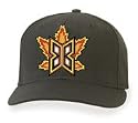 Bakersfield Blaze Adjustable Home Cap by New Era