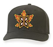Bakersfield Blaze Adjustable Home Cap by New Era