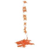 Review Buy Craft Direct Ltd  / HALLOWEEN SPIDER CHAIN 2.8M LONG Q76