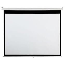 100IN Diagonal Accuscreens HDtv Manual Wall Ceiling 49X87IN