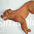Simulaids CasPeR the CPR Dog Manikin - 5000