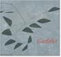 Calder: Gravity and Grace