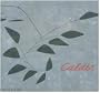 Calder: Gravity and Grace