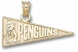 Youngstown State Penguins 