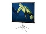 Draper DIPLOMAT TRIPOD PRTBL-PROJ SCREEN 84IN X 84IN