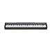 Casio CDP-100 88 Note Digital Piano