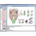 Illustrated Resource Library - Botany in the Classroom CD ROM