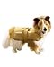 Fifth Avenue Canines - Henry the Collie