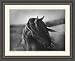 Art Select Fierce Grace by Tony Stromberg Framed Art Ea - Model SP8968 Categorization: Office Framed Art & Decor > Country Charm Framed Art