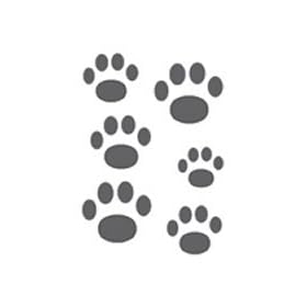 Paw Prints Temporary Tattoo