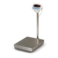 Salter Brecknell 300 lb. Capacity Bench/Floor Scale
