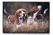   - Beagle Doormat2008