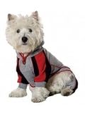 Fashion Pet Athletic Track Suit
