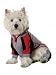 Fashion Pet Athletic Track Suit