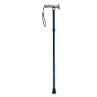 Folding Cane