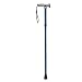 Folding Cane