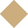Khaki Bandana