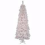 Christmas Tree - White Salem Pencil Pine - A103266