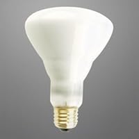 BR30 FLOODLIGHT LONG LIFE LIGHT BULB 65 WATTS 20,000 HOURS 120 VOLTS KRYPTON INCANDESCENT FLOOD LIGHT BULB