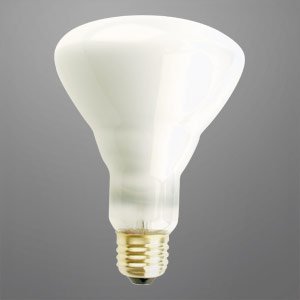BR30 FLOOD 65 WATTS 5,000 HOURS LONG LIFE LIGHT BULB 65 WATTS REFLECTOR FLOOD MEDIUM BASE"