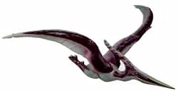 Dino Inflatable Pteranodon