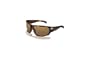 Bolle Barracuda SunglassesBolle Barracuda Sunglasses Model