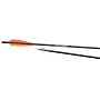TENPOINT Series 20-Inch HEA-620.3 Pro Elite Carbow Crossbow Arrows