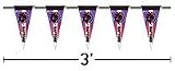 Toronto Raptors Pennant String (3 foot)
