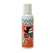 Odor Assassin Deodorizing Spray, ORANGE SCENT - Case Quantity (Model 10454210R00)