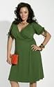 Igigi Tina Faux Wrap Plus Size Dress