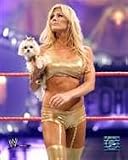 Torrie Wilson #301 Officially Licensed Sports Photo - 8 x 10 - Framing Options Available - Click For Details