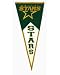 NHL Dallas Stars Classic Wool Pennant