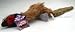 NEW! Empty Nesters Plush Pheasant - 18