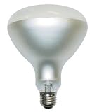 21B%2BIfMNEDL. SL160  500 Watt R40 130 Volt Philips Swimming Pool Flood Light Bulb