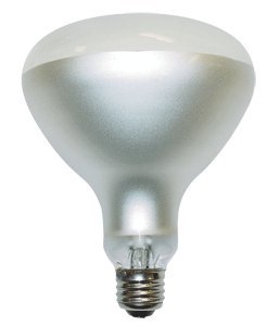 21B%2BIfMNEDL 500 Watt R40 130 Volt Philips Swimming Pool Flood Light Bulb
