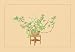 Pine and Rose - Paper Poster (18.75 x 28.5)