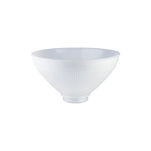 10 Refl Bowl Shade by Westinghouse