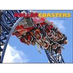 Roller Coasters 2009 Deluxe Wall Calendar