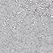 Grey Marl