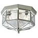 Progress Lighting P5788-10 Octagonal Close-To-Ceiling Fixture with Clear Bound Beveled Glass, Polished Brass