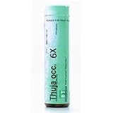 Thuja Occidentalis 6X 100 Tablets