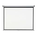 Braun Projector Screen 155x155cm Wall Mounted (Special order)