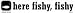 here fishy bumper sticker