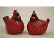 Salt & Pepper Shakers Cardinal