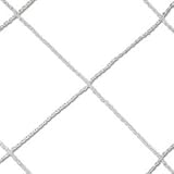 Club Goal Net (PR)