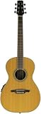 Wechter Guitars Nashville Special Elite (Cedar w/Fishman PreSys 501)
