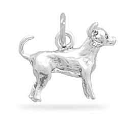Dog Breed - Chihuahua Charm