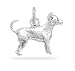 Dog Breed - Chihuahua Charm