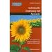 Bewusst essen: Bewu�t essen, Bd.1, Individuelle Ern�hrung mit Ayurveda: Eine Synthese aus indischer Heilkunst und moderner Wissenschaft