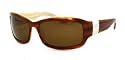 Ralph RA5004 Brown/ Horn (ra5004-53573)